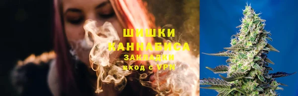 стафф Краснослободск