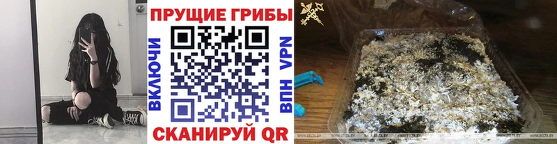 Псилоцибиновые грибы ЛСД  Купить где  Заречный 