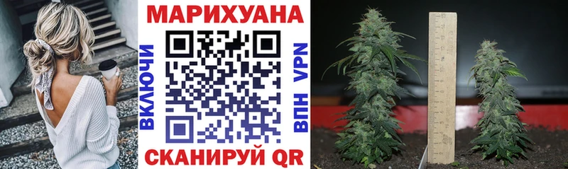 Купить  Заречный  Каннабис SATIVA & INDICA 